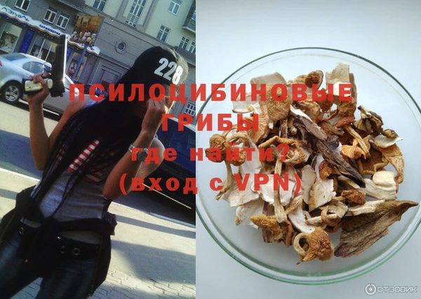 дмт Абаза